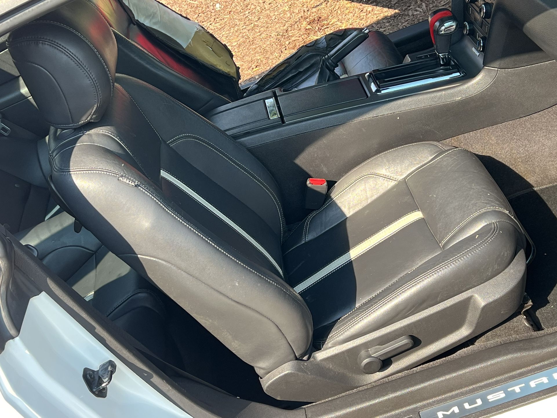 Mustang Front Seats