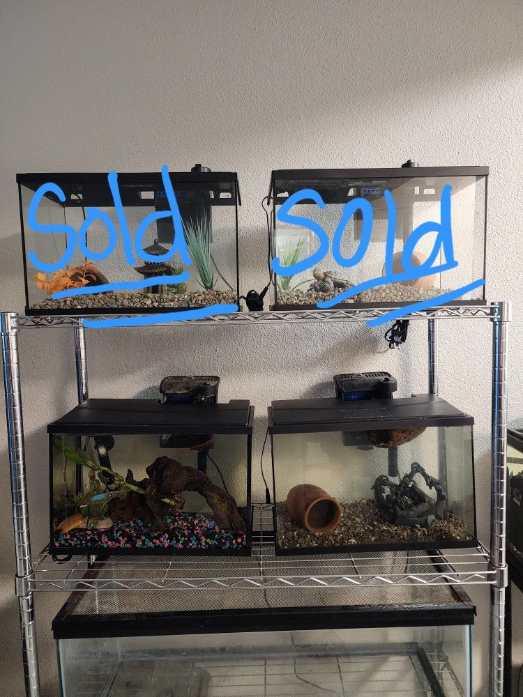 Fish Tank