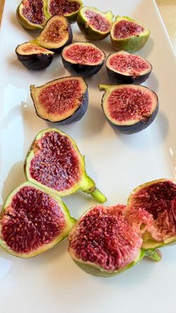 Fresh Fig Cuttings for Propagation