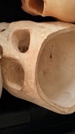 Halloween Skull Prop Hollow Base
