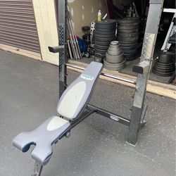 Gym Quality Iron Grip Strength Bench Press Adjustable