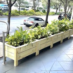 Treated Wood Planter Wooden Box 