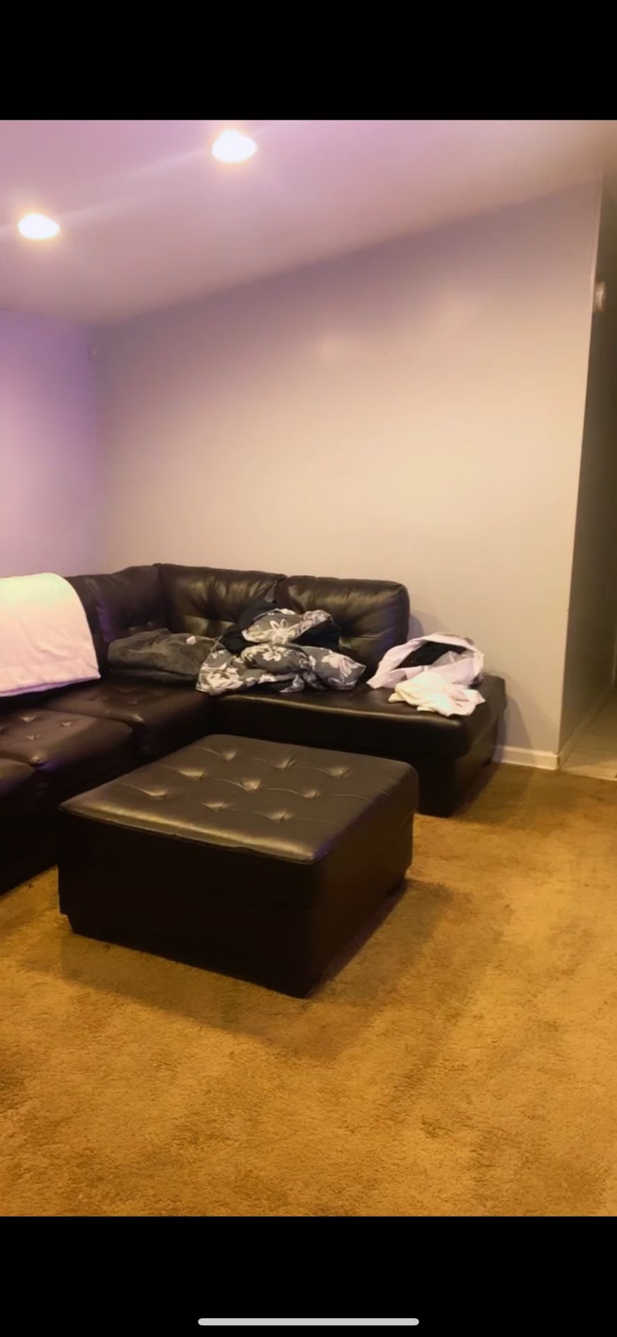 Leather couch brown