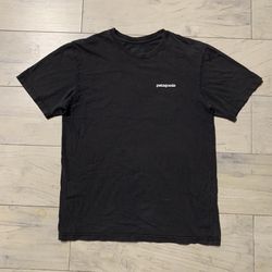 Patagonia Tee 