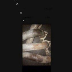 Acura Integra DC headers only top half no down pipe