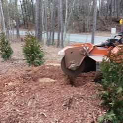 Stump Grinding 