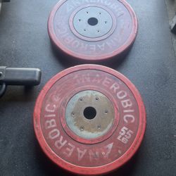 55 lbs  Olympic Bumper Weight Plates…. Home Gym Fitness….