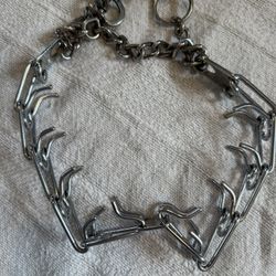 Dog Training Collar