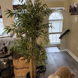 Artificial plant 5ft tall used