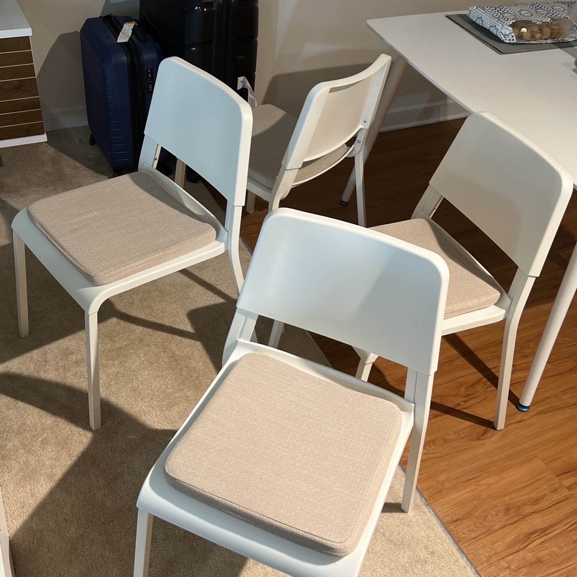 4x Chairs, white, IKEA TEODORES + Chair Pads, Beige
