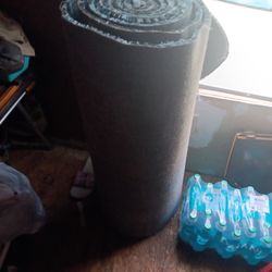 Moving Pick Up Today Brand New Rug 20 Dollars