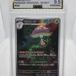 2024 Pokemon Shiinotic 066/064 AR Paradise Dragona Japanese SV7a PSA 9.5 NM