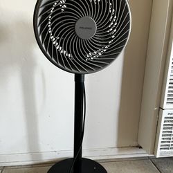Fan