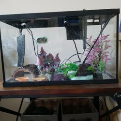 10 Gallon Fish Tank