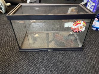 Terrarium