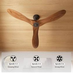 Clearance  60 in. Indoor/Outdoor 3-Solid Wood Blades Propeller Ceiling Fan with 