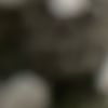 DP 