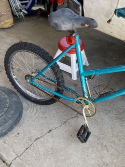 Blue bike California design