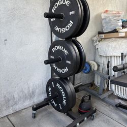 Rogue Plate Set With Weight Tree For Sale Can Sell Weight Set Separately 