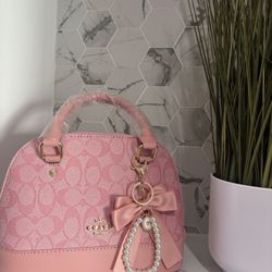 Inspired Coach Bag 