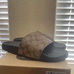 Coach Slides DS Size 12