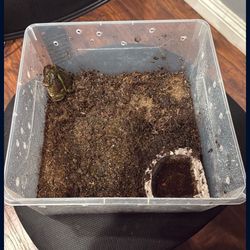 Small PAC-MAN Enclosure