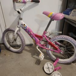 Titan Girls Bike With Training Wheels