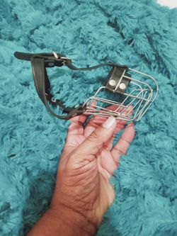 Muzzle for small dog