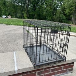 Dog Kennel 
