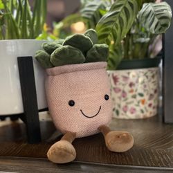 Succulent Friend, Succulent Buddy, Decorative Pillow