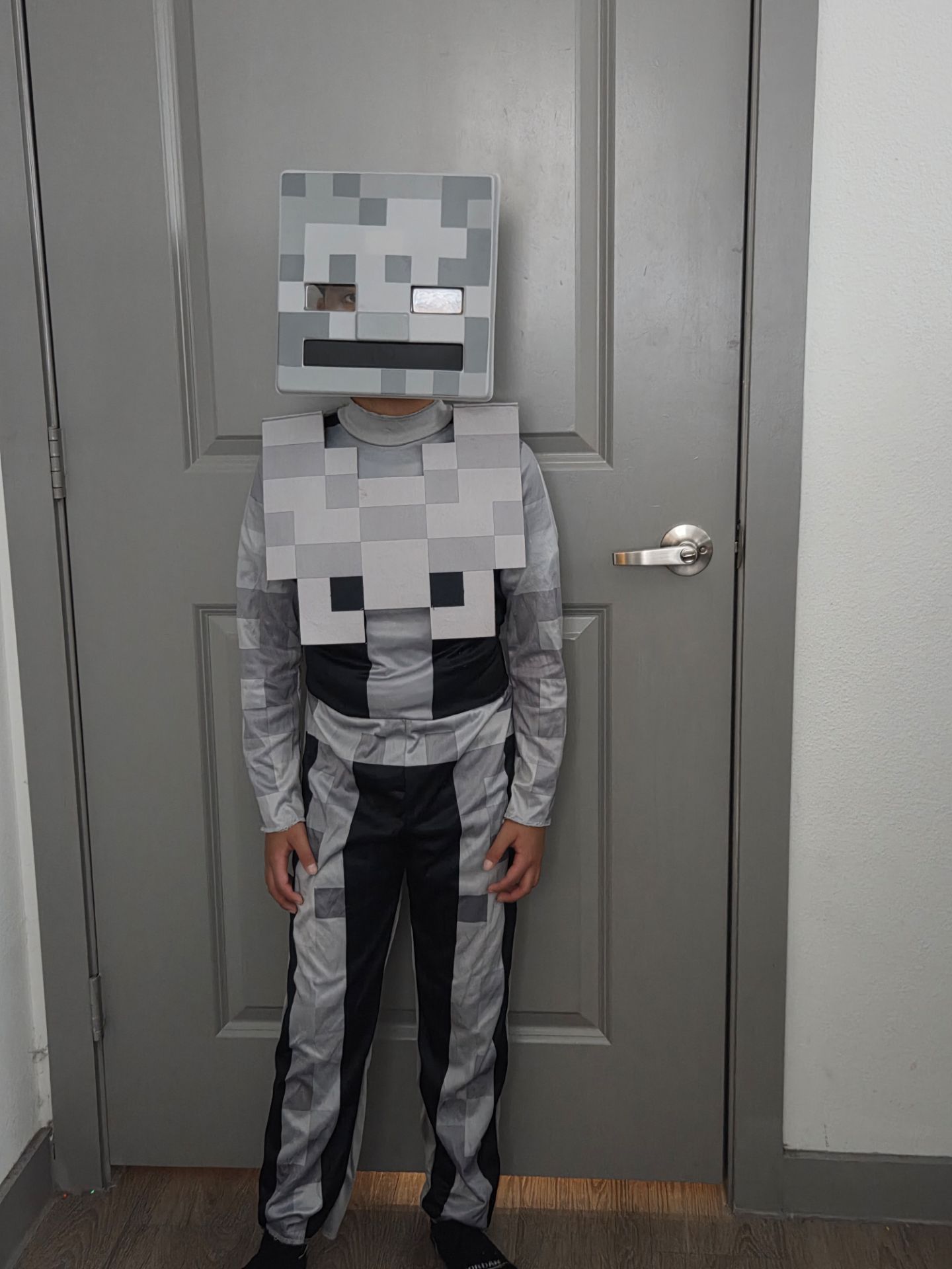 Minecraft skeleton for Sale in San Antonio, TX - OfferUp