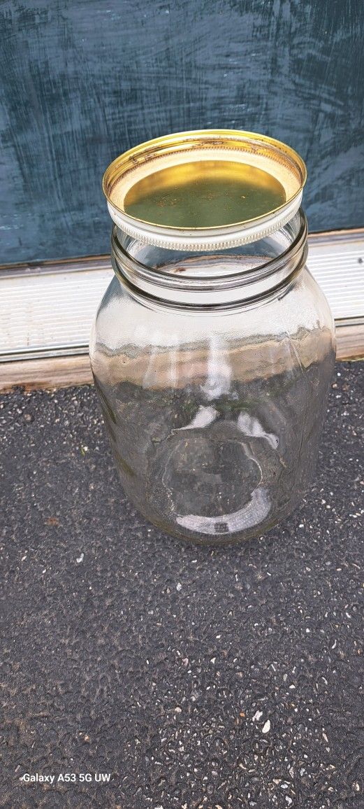 Rare Glass 1 Gallon Olive Jar Screw Cap