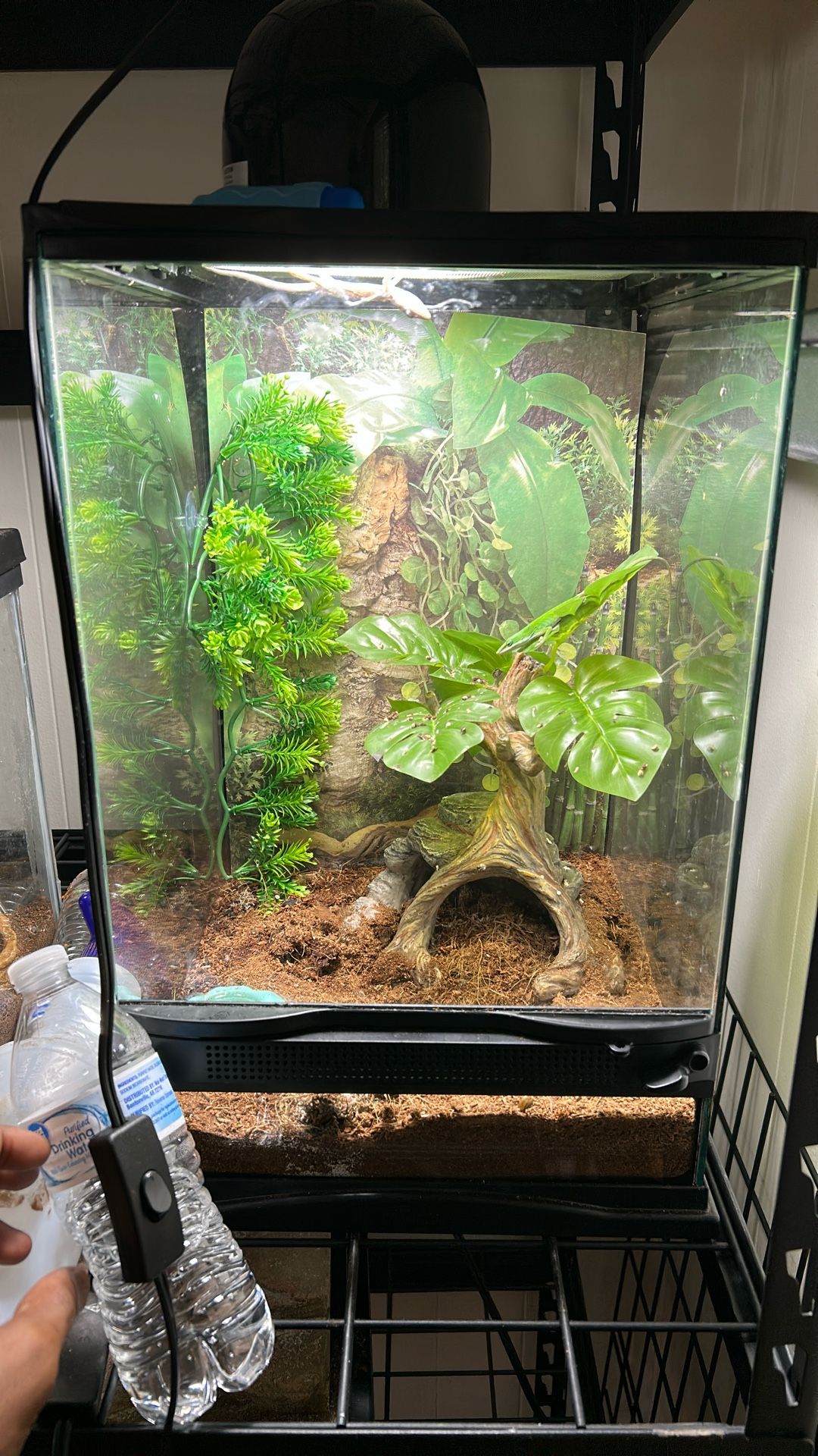 Reptile Tank