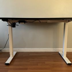 FLEXISPOT Electric Standing Desk