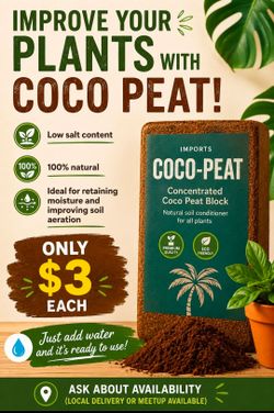 Coco-peat blocks