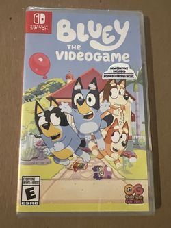 Nintendo Switch Game