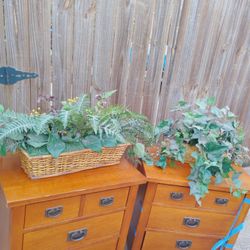 Fake House Plant Set