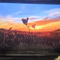 Element 40 Inch Class 720P 60HZ LCD HDTV Black ELCFT194 TV W/ REMOTE