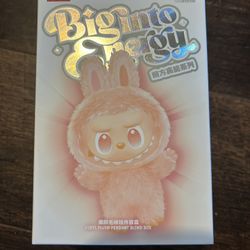 ✨LABUBU (New And Unboxed!)🤩