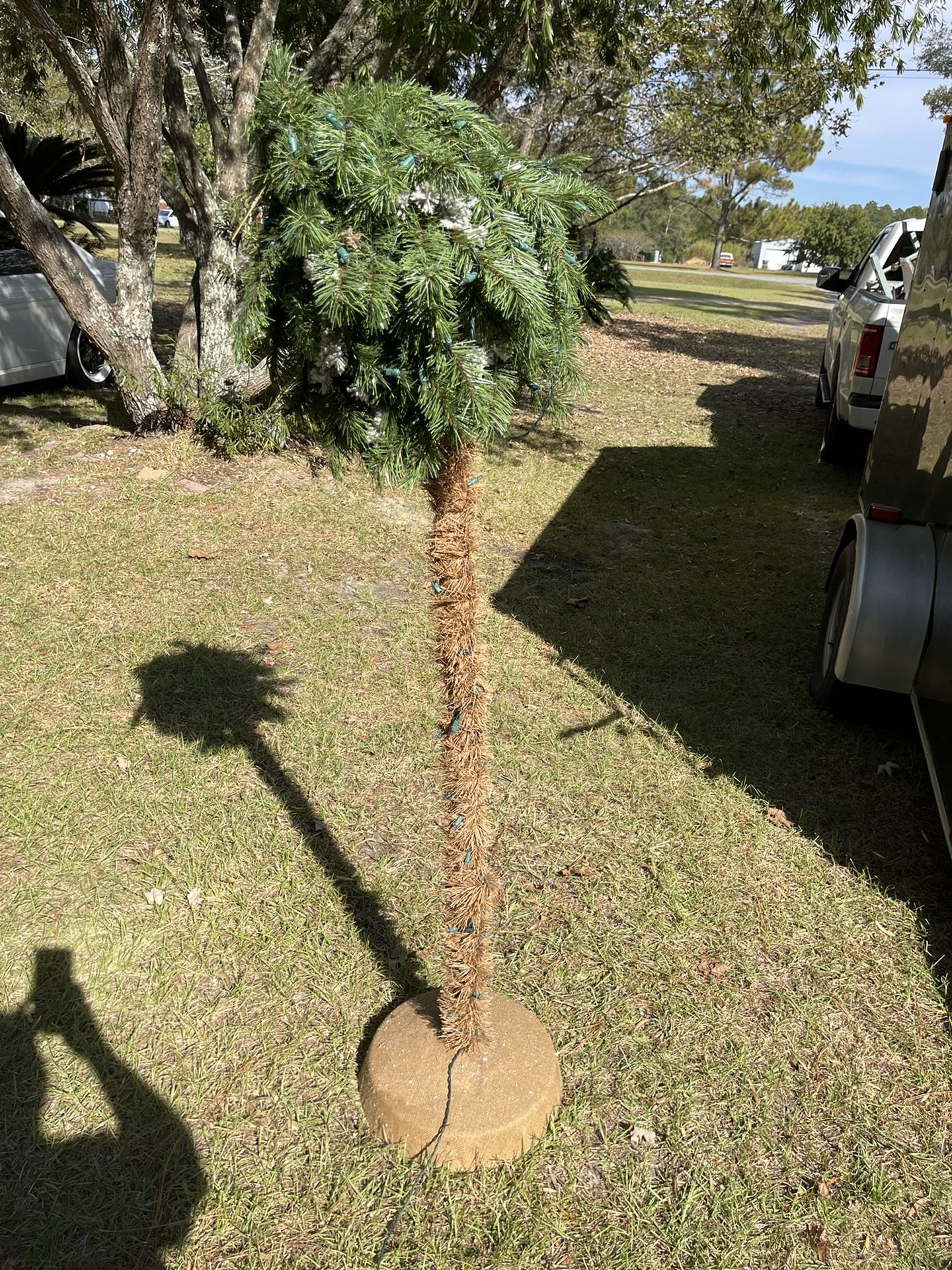 Christmas Palm Tree