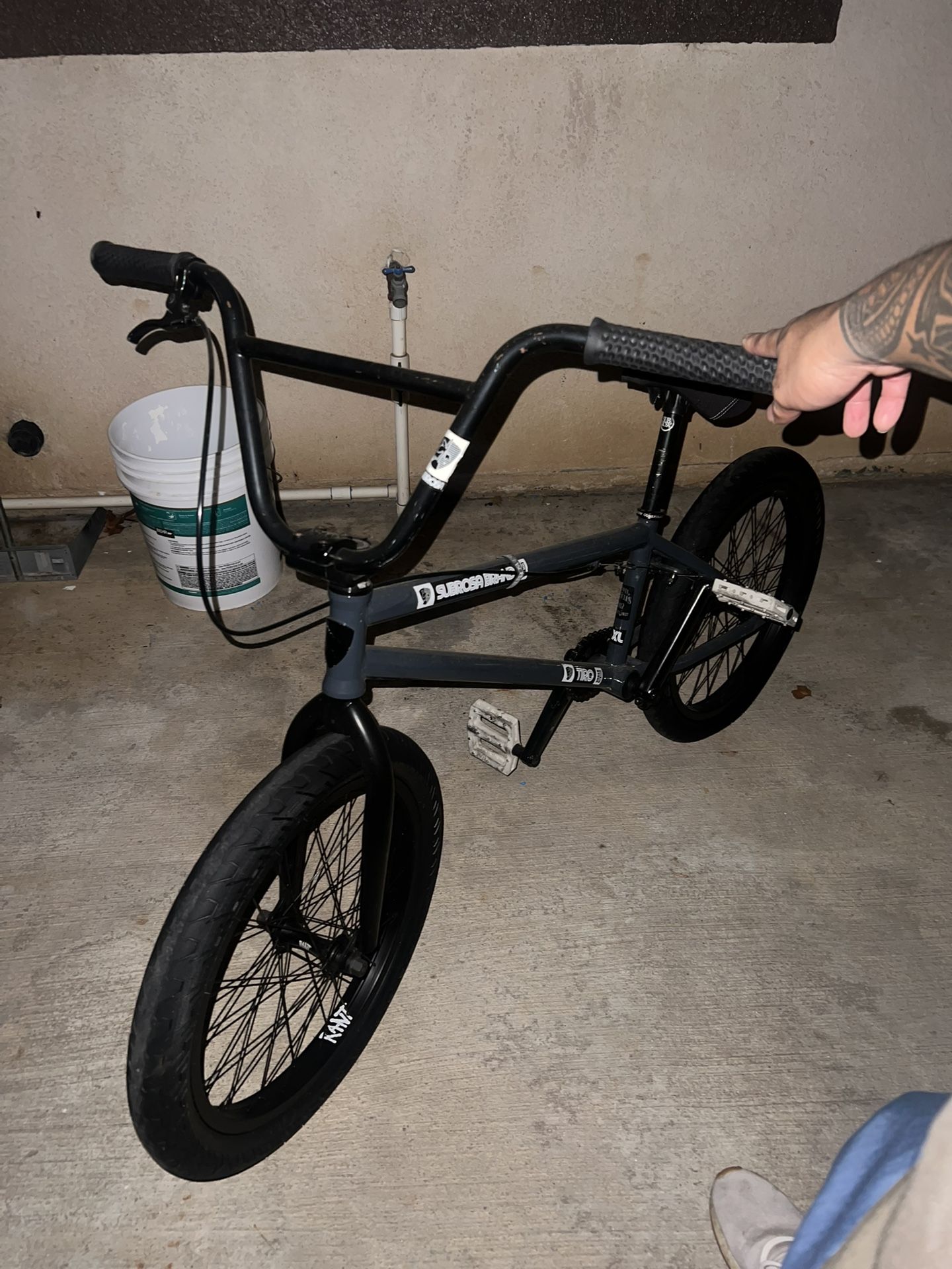 Subrosa BMX Bike X Rant