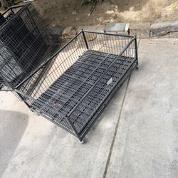 Whelping Box