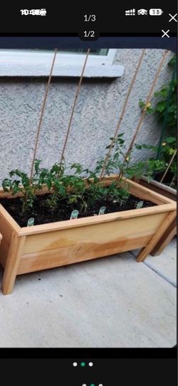 New cedar planters