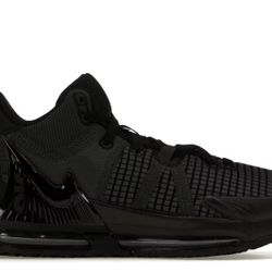 Lebron Witness 7 Size 10.5