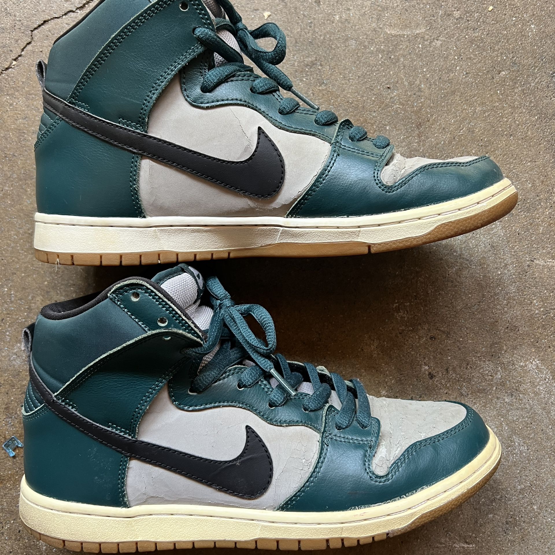 Nike Newport Dunks Sz 10