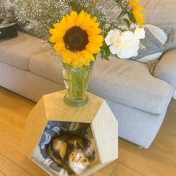 Modern Wooden Cat House / Pet Bed – Stylish & Cozy!