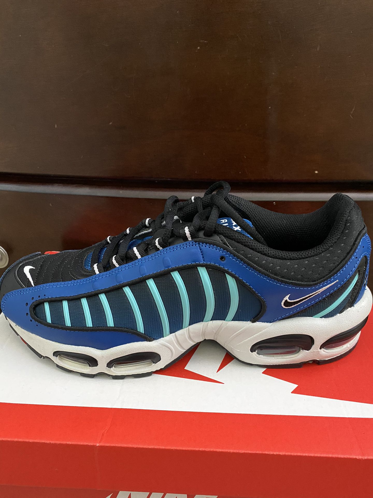 Air Max Tailwind IV (Size 10)