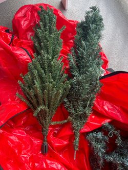 Two small Christmas Trees
