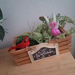 Next To Real Succulents 12"