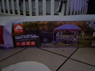 10x10 straight legged canopy